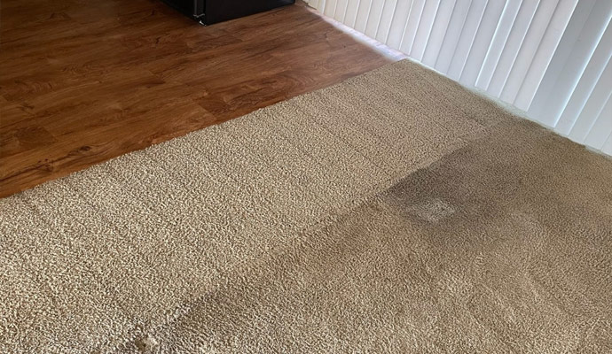 Absorbent Powder Cleaning