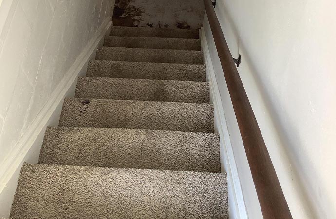 Absorbent Powder Compound Carpet Cleaning Method