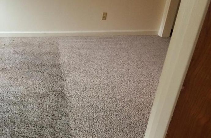 Advantages of Absorbent Powder Cleaning